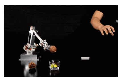 插圖5.png 插圖5.png